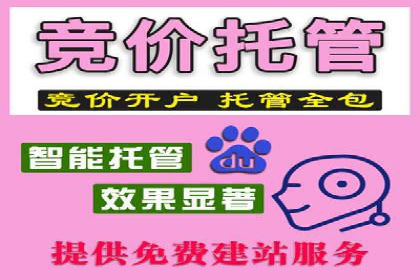 案例分析：竞价代运营如何实现精准用户定位